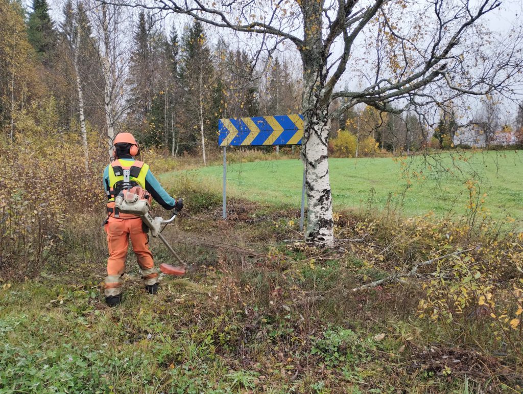 Runt träd_01